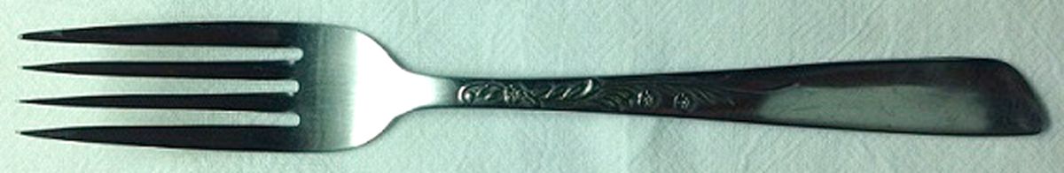 NTS60 (Stainless) Fork by National Silver Co-1