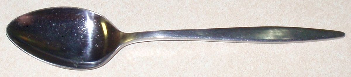 Newporte (Stainless) Teaspoon by Nasco-1