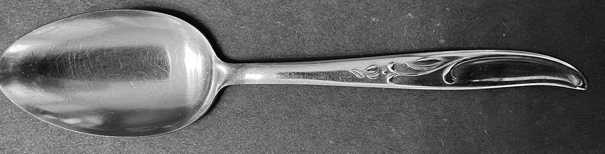 NST111 (Stainless) Teaspoon by National Stainless-1