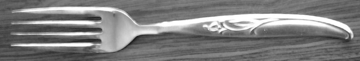 NST111 (Stainless) Fork by National Stainless-1