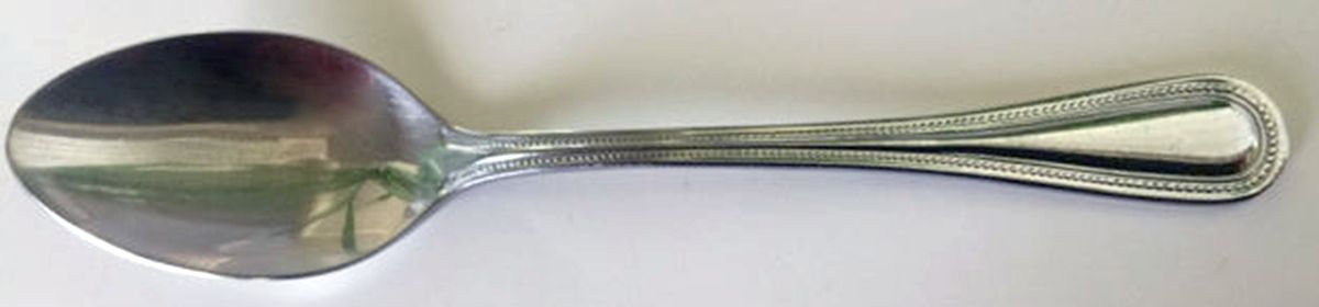 NES6 (Stainless) Teaspoon by New Traditions-1