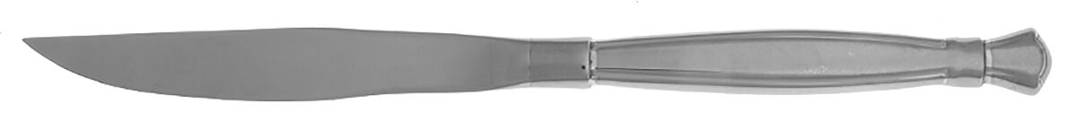 Act I (Stainless, Glossy Handle & Bowl) Steak Knife Individual Hollow, No Serrate HC by Oneida Silver-1
