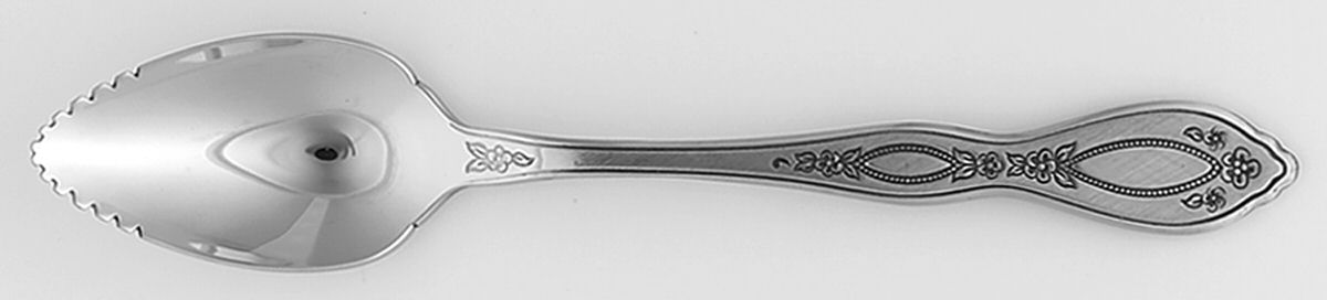 Anthem (Stainless) Fruit/Orange Spoon by Oneida Silver-1