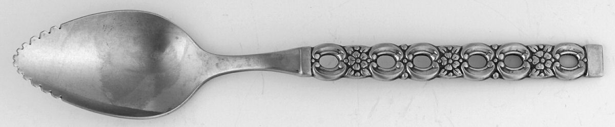 Applique (Stainless) Fruit/Orange Spoon by Oneida Silver-1