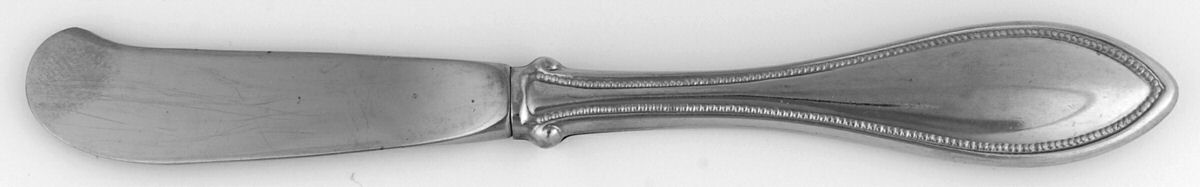 Arbor-American Harmony (Stainless) Butter Spreader Hollow Hdl-Paddle/Stainless Blade by Oneida Silver-1