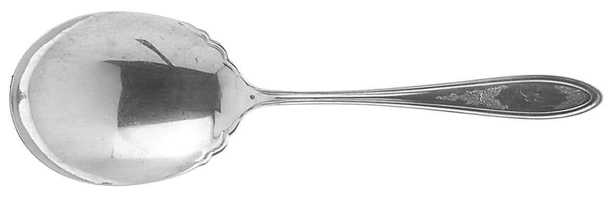Ardsley (Silverplate, 1921) Solid Smooth Casserole Spoon by Oneida Silver-1