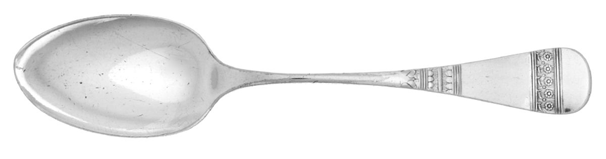 Ascot (Silverplate, 1886) Tablespoon (Serving Spoon) by Oneida Silver-1