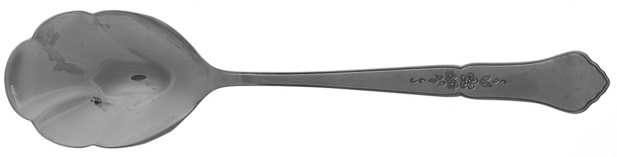 Ashmore (Stainless-Burnished Handle) Sugar Shell Spoon by Oneida Silver-1
