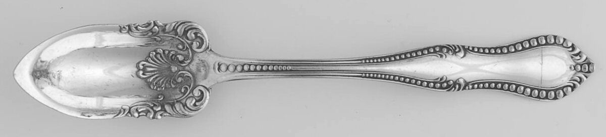 Beaded-Niagara Falls Fruit/Orange Spoon by Oneida Silver-1