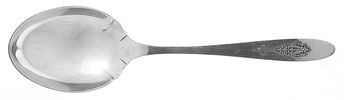 Bird of Paradise (Silverplate, 1923) Preserve Spoon by Oneida Silver-1