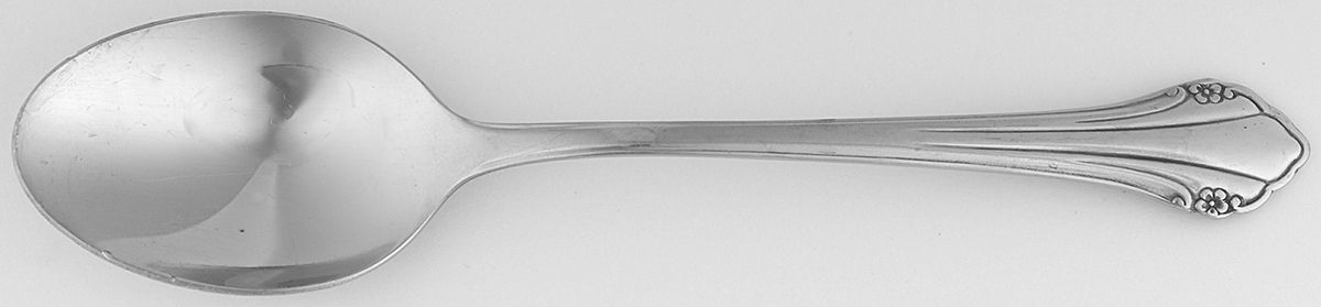 Bittersweet (Stainless) Place/Oval Soup Spoon by Oneida Silver-1