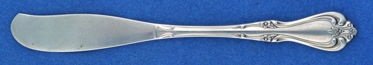 Briarwood Flat Handle Butter Spreader by Oneida Silver-1