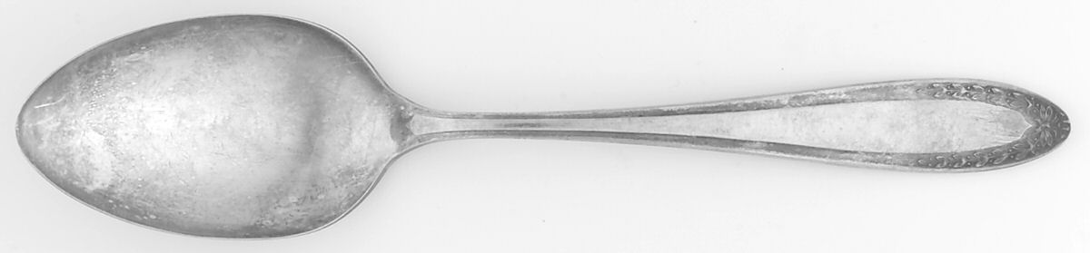 Bridal Wreath (Silverplate, 1915) Tablespoon (Serving Spoon) by Oneida Silver-1