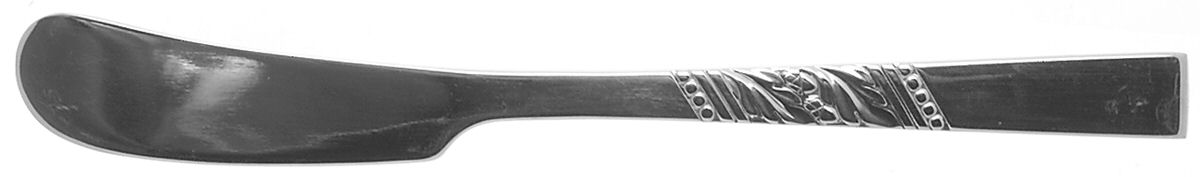 Catalina (Stainless) Flat Handle Butter Spreader by Oneida Silver-1