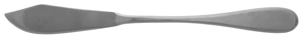 Centurion (Stainless) Individual Solid Fish Knife by Oneida Silver-1