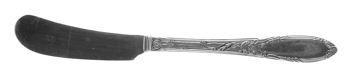 Chateau (Silverplate, 1934) Flat Handle Butter Spreader by Oneida Silver-1
