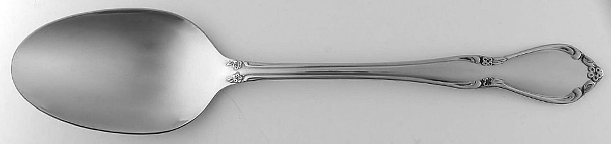 Chateau (Stainless, Glossy) Tablespoon (Serving Spoon) by Oneida Silver-1