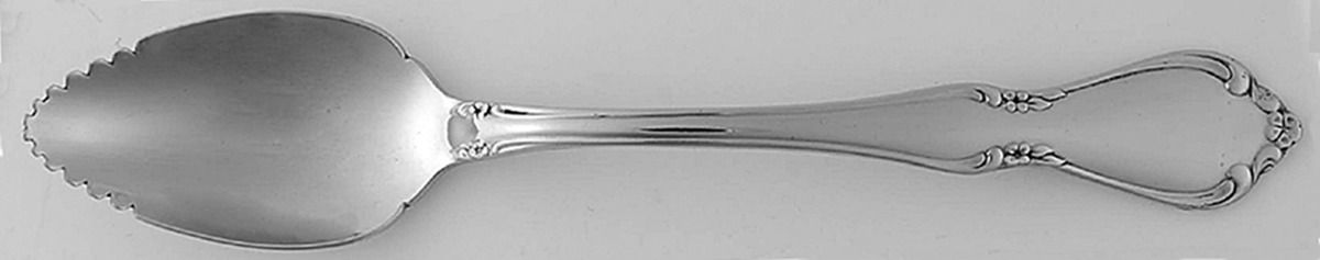 Chateau (Stainless, Glossy) Fruit/Orange Spoon by Oneida Silver-1