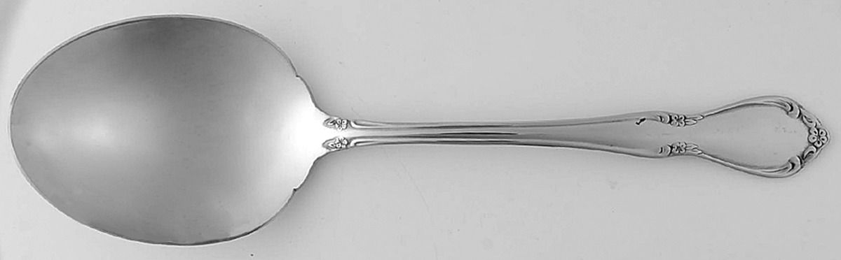 Chateau (Stainless, Glossy) Solid Smooth Casserole Spoon by Oneida Silver-1