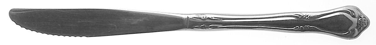 Chateau (Stainless, Glossy) Modern Solid Knife by Oneida Silver-1