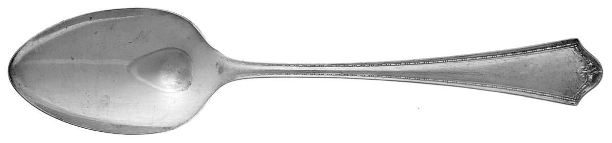 Chatauqua (Silverplate, 1916) Tablespoon (Serving Spoon) by Oneida Silver-1