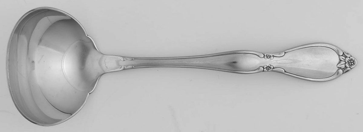 Chatelaine (Stainless) Solid Gravy Ladle by Oneida Silver-1