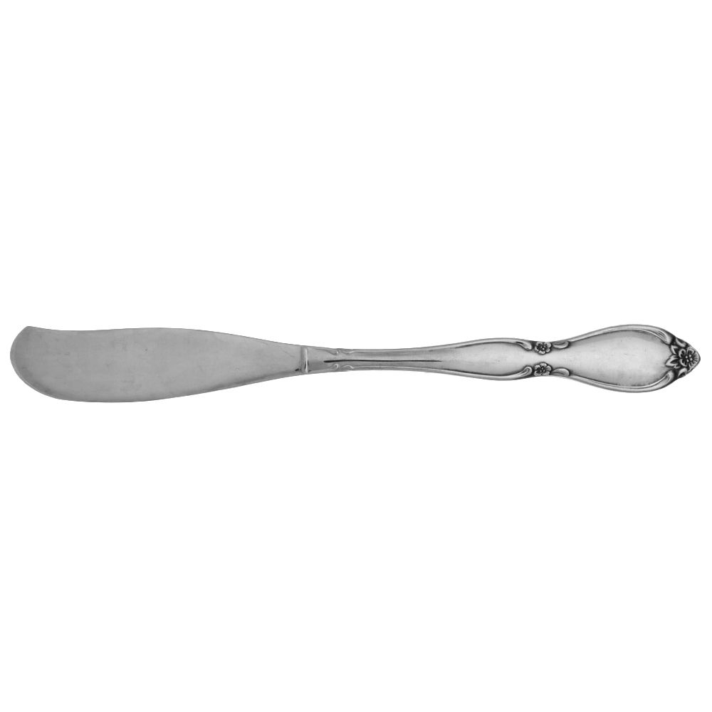 Chatelaine (Stainless) Flat Handle Butter Spreader by Oneida Silver-1