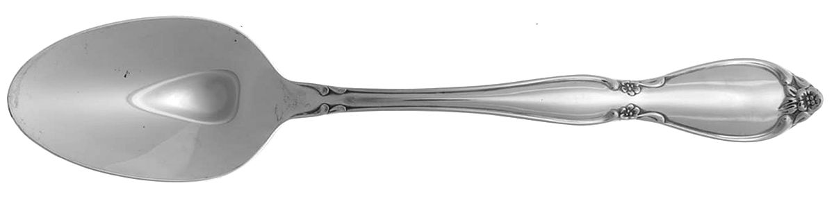 Chatelaine (Stainless) Teaspoon by Oneida Silver-1
