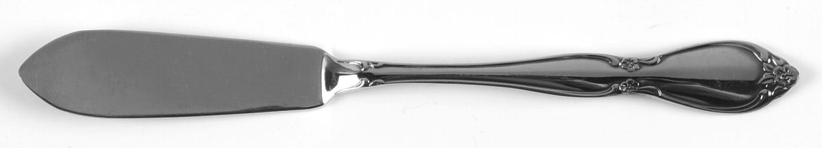 Chatelaine (Stainless) Flat Handle Master Butter Knife by Oneida Silver-1