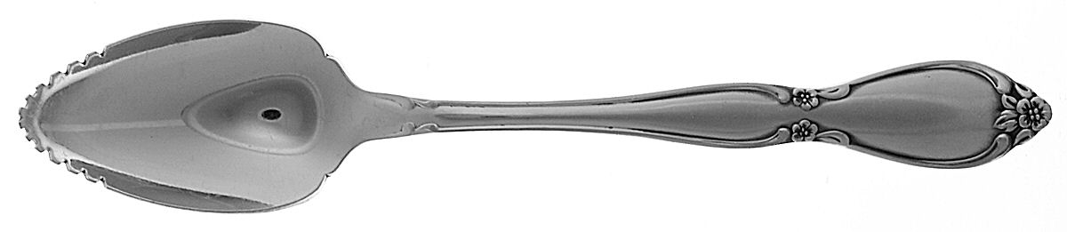 Chatelaine (Stainless) Fruit/Orange Spoon by Oneida Silver-1