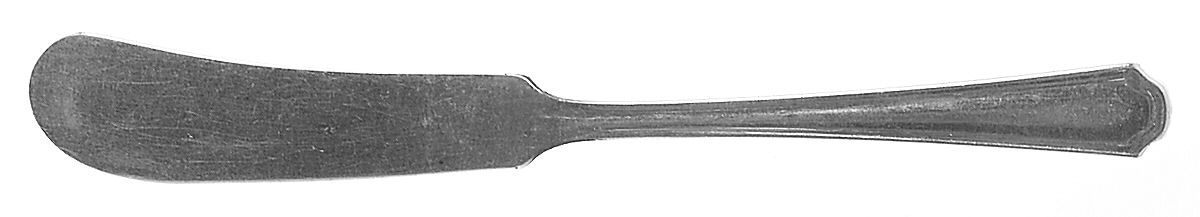 Clairhill-Fairhill (Silverplate, 1978) Flat Handle Butter Spreader by Oneida Silver-1
