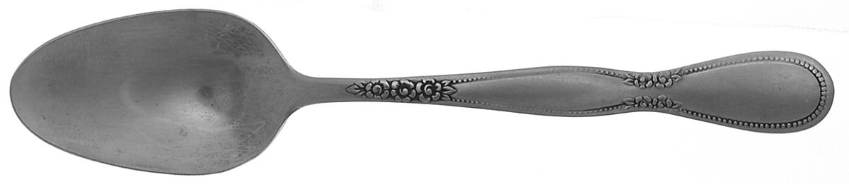 Colonial Boutique (Stainless) Teaspoon by Oneida Silver-1