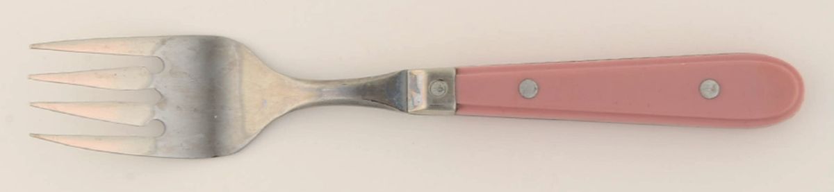 Country Color-Country Rose Individual Salad Fork by Oneida Silver-1