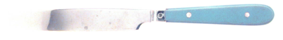Country Color-Williamsburg Blue (Stainless) New French Hollow Knife by Oneida Silver-1