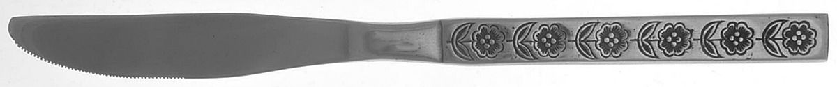 Country Lane (Stainless) Modern Solid Knife by Oneida Silver-1