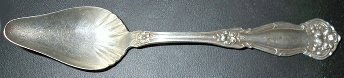 Daisy (Silverplate, 1910) Fruit/Orange Spoon by Oneida Silver-1