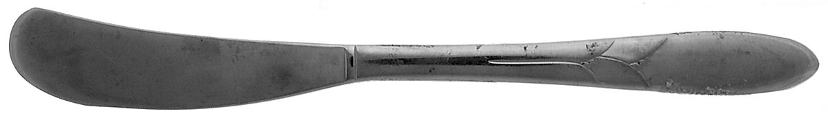 Debonair (Stainless) Flat Handle Butter Spreader by Oneida Silver-1