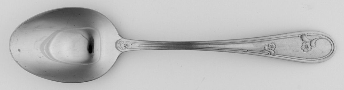Devon (Stainless) Tablespoon (Serving Spoon) by Oneida Silver-1