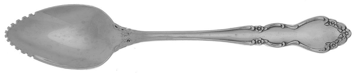 Dover (Stainless) Fruit/Orange Spoon by Oneida Silver-1