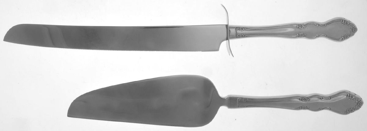 Dover (Stainless) 2 Piece Cake Serving Set (CAKSL & CAKST) by Oneida Silver-1
