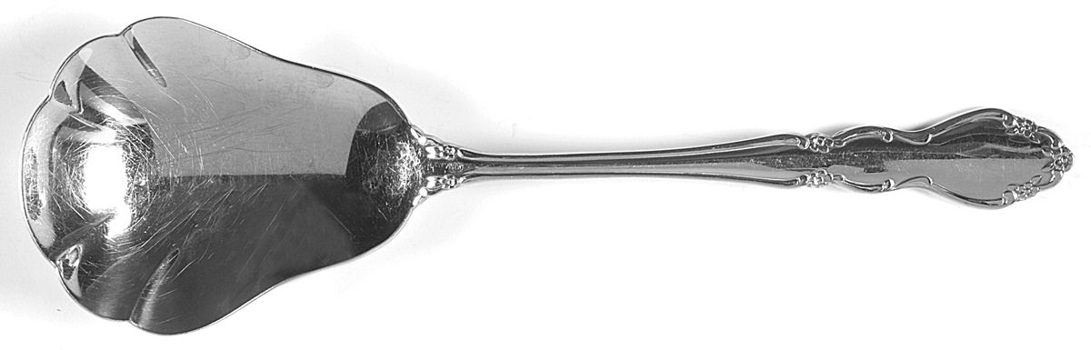 Dover (Stainless) Solid Shell Casserole Spoon by Oneida Silver-1