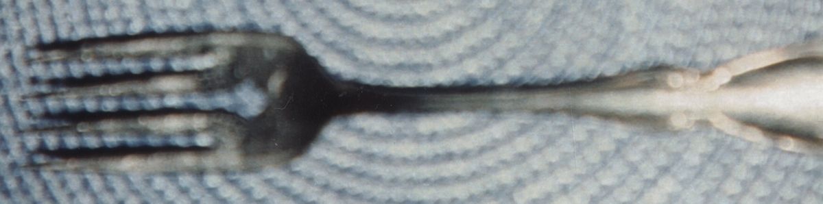 Dover (Stainless) Dessert Fork by Oneida Silver-1