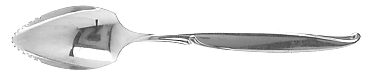 Driftwood (Stainless) Fruit/Orange Spoon by Oneida Silver-1
