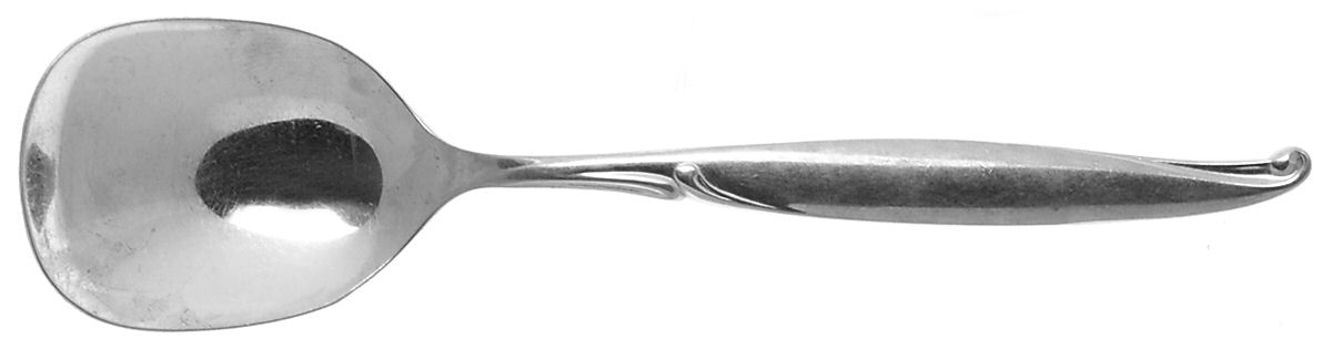 Driftwood (Stainless) Sugar Spoon by Oneida Silver-1