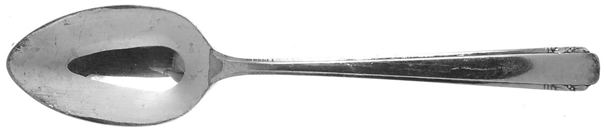 Elaine (Silverplate, 1926) Tablespoon (Serving Spoon) by Oneida Silver-1