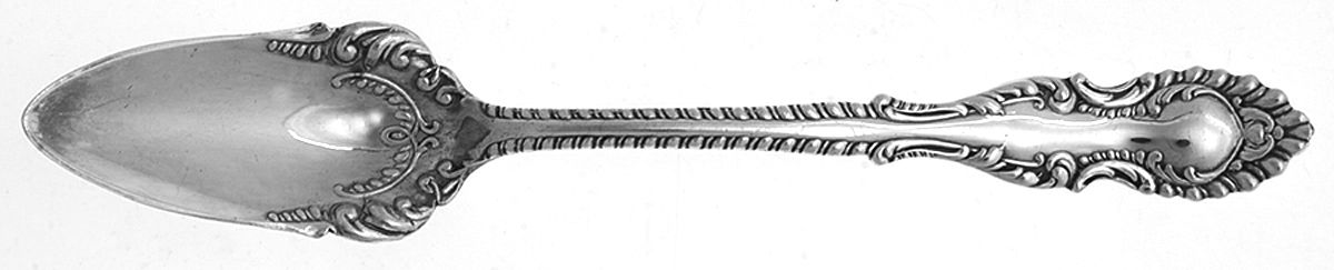 Elberon Fruit/Orange Spoon by Oneida Silver-1