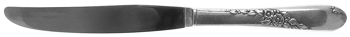 Endearable (Silverplate, 1954) Modern Hollow Knife by Oneida Silver-1