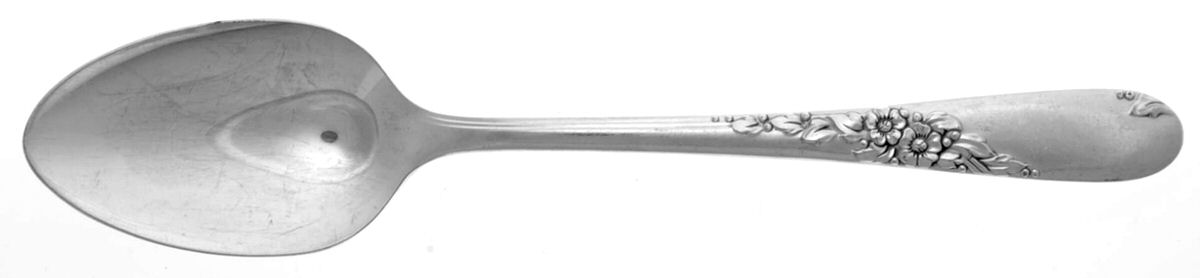 Endearable (Silverplate, 1954) Teaspoon by Oneida Silver-1