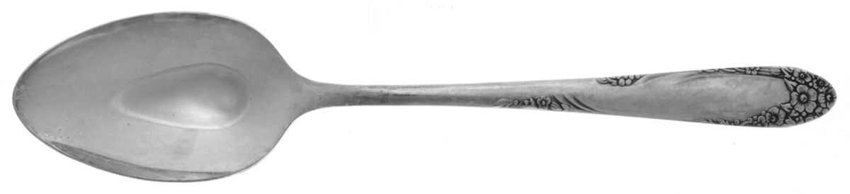 English Garden (Silverplate, 1949) Teaspoon by Oneida Silver-1