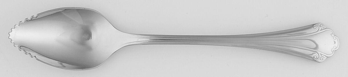Falkirk (Stainless) Fruit/Orange Spoon by Oneida Silver-1